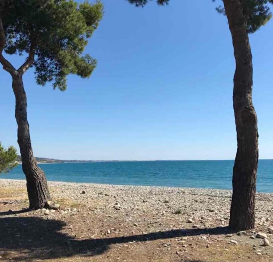 La Casa Al Mare Corallo Verde Montegiordano Dış mekan fotoğraf